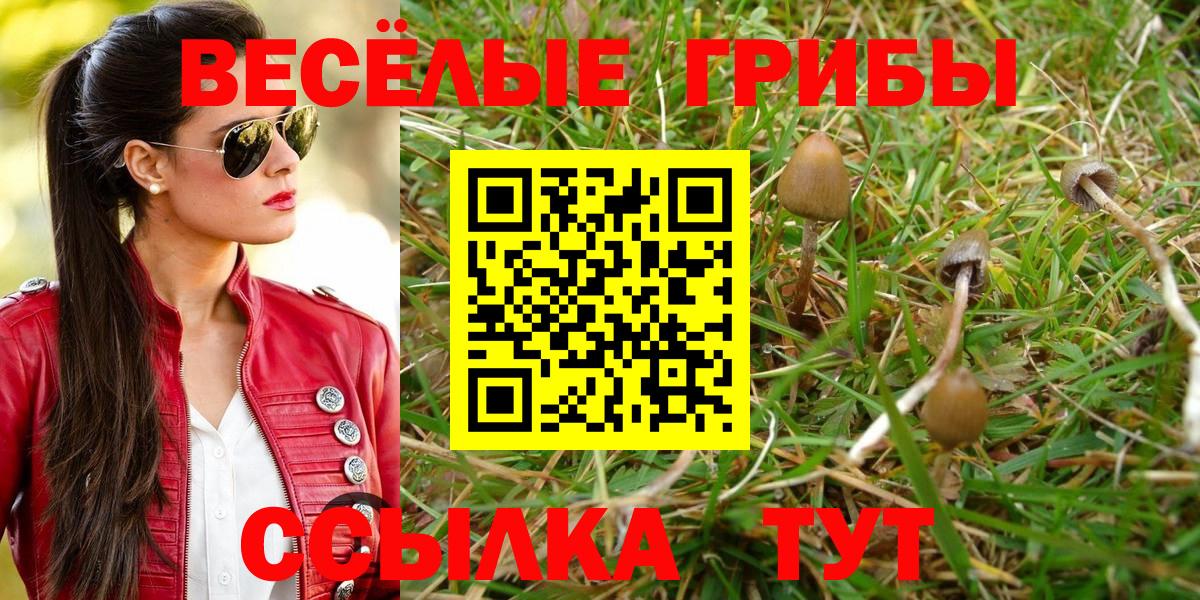 Псилоцибиновые грибы прущие грибы  Галлюциногенные грибы Psilocybe  Вход с VPN  Учалы 